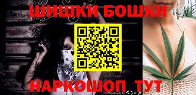 МДПВ Пенза