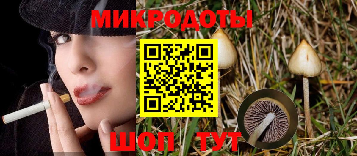 дарнет шоп  Псилоцибиновые грибы мухоморы  Вход с VPN  Свободный 
